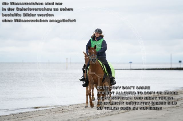 s_K3F04716.JPG